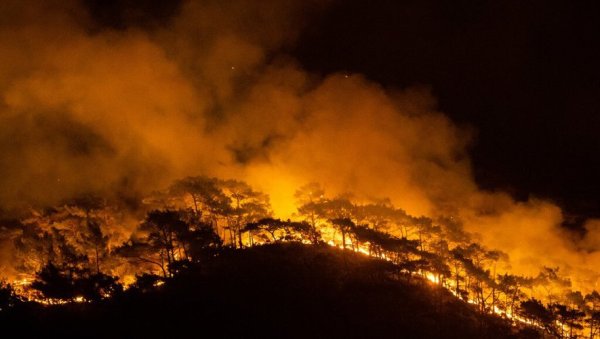 Incendies en Grèce et en Turquie : des conséquences de la crise climatique et des politiques d'austérité