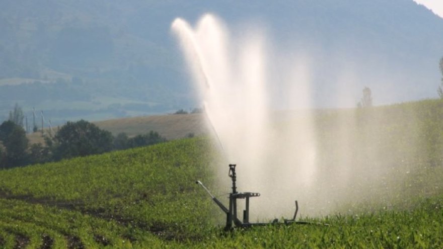 Scandale sanitaire dans les Deux-Sèvres : 50 à 75 % de l'eau potable contaminée par un pesticide